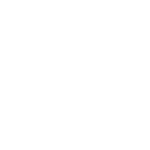 Home Icon